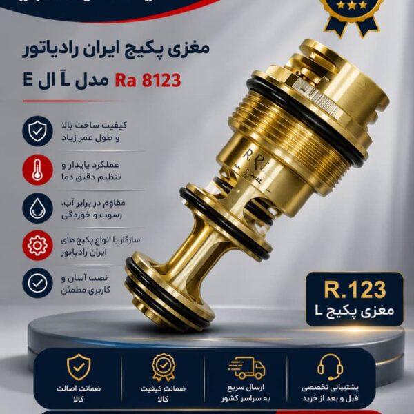 مغزی پکیج ایران رادیاتور
